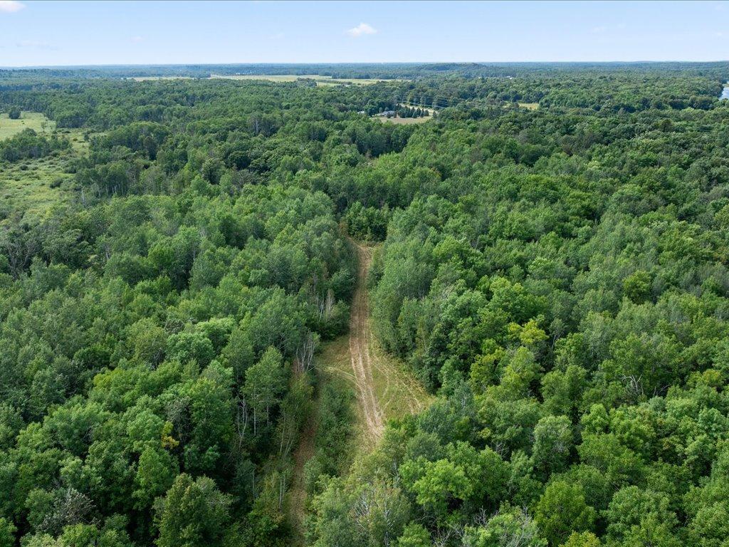 Tbd Azalea Road Property Photo 3