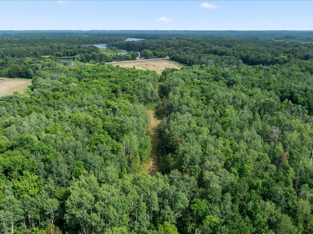 Tbd Azalea Road Property Photo 12