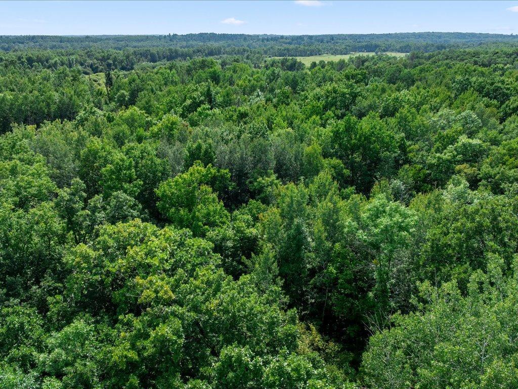 Tbd Azalea Road Property Photo 13