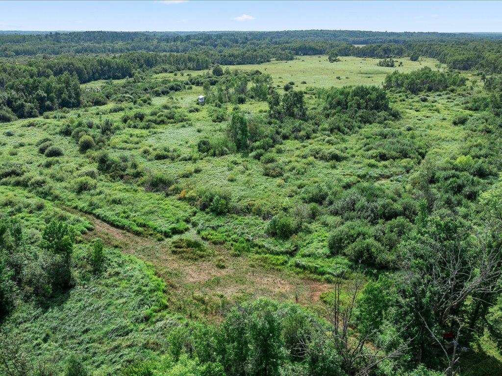Tbd Azalea Road Property Photo 15
