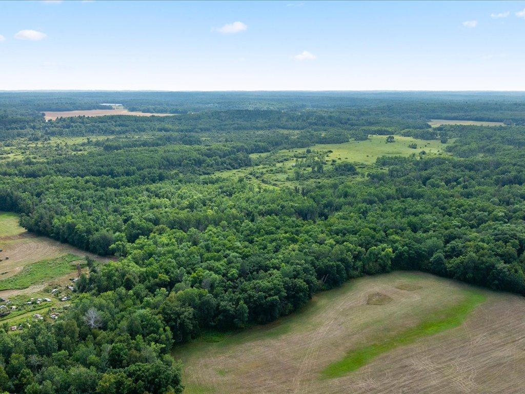Tbd Azalea Road Property Photo 16