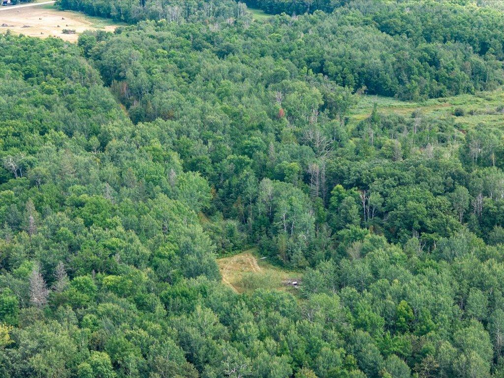 Tbd Azalea Road Property Photo 21