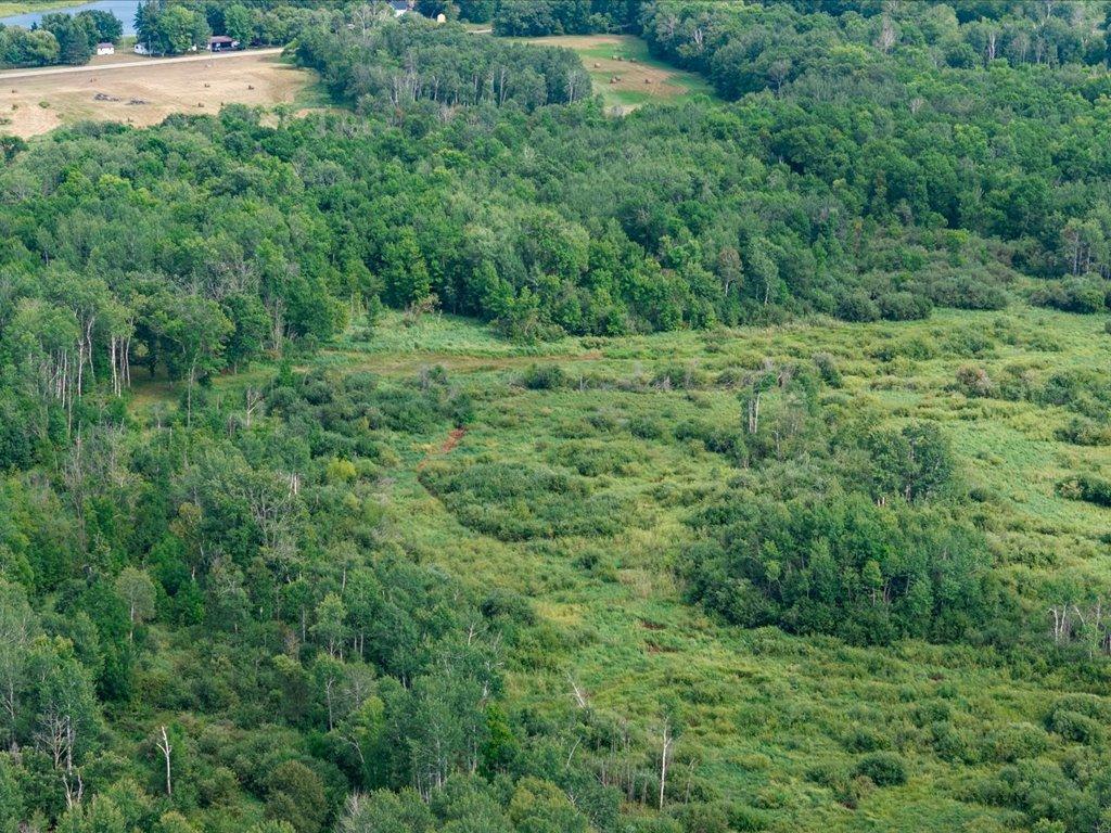 Tbd Azalea Road Property Photo 25