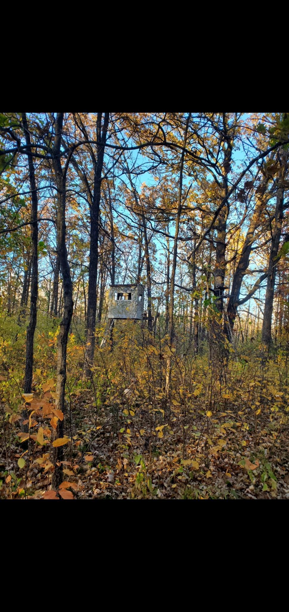 Tbd Azalea Road Property Photo 38