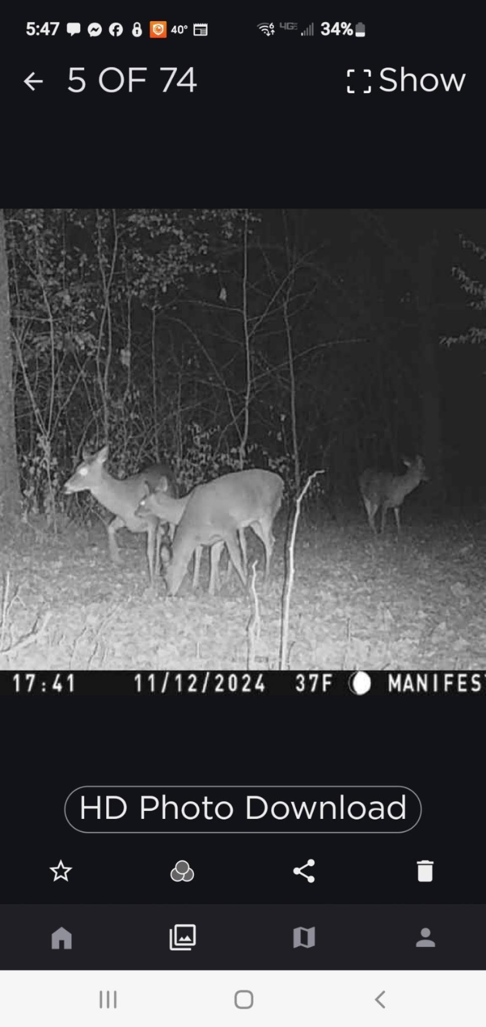 Tbd Azalea Road Property Photo 39