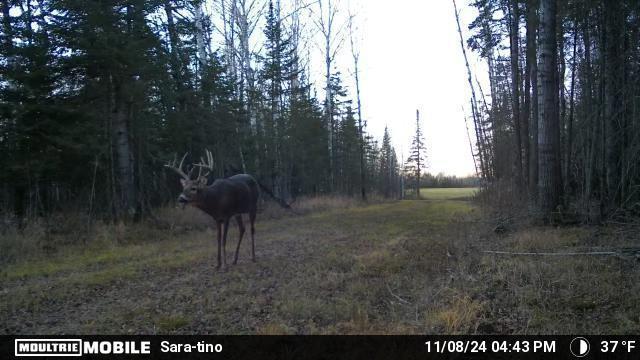 Tbd Arkola Road Property Photo 2