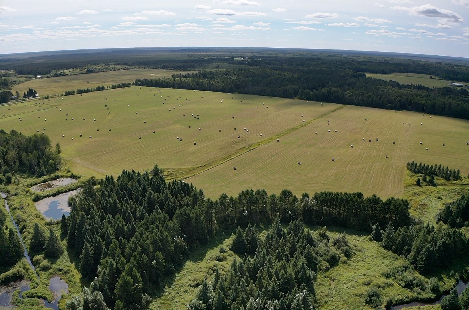 Tbd Arkola Road Property Photo 13