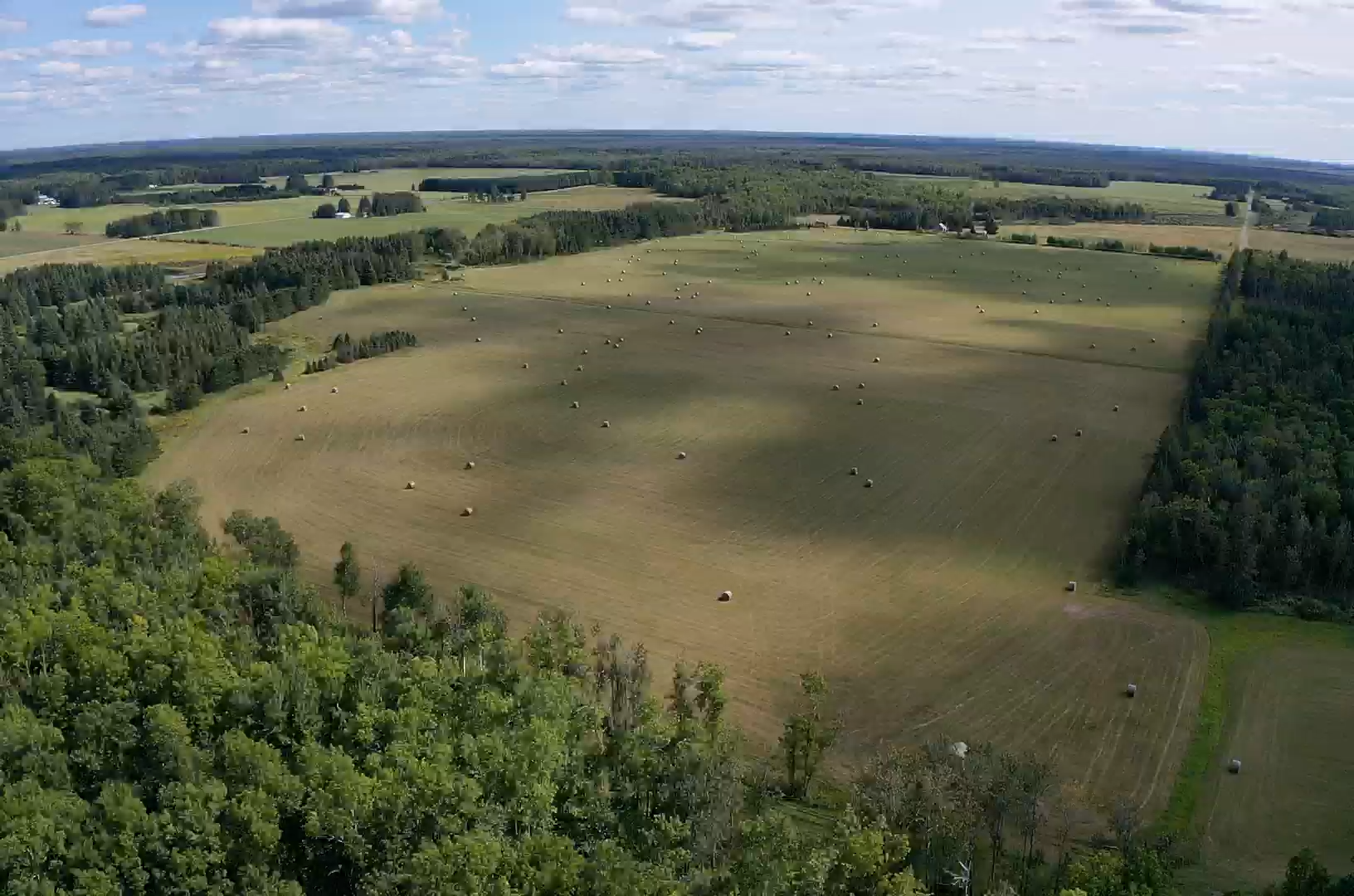 Tbd Arkola Road Property Photo 15