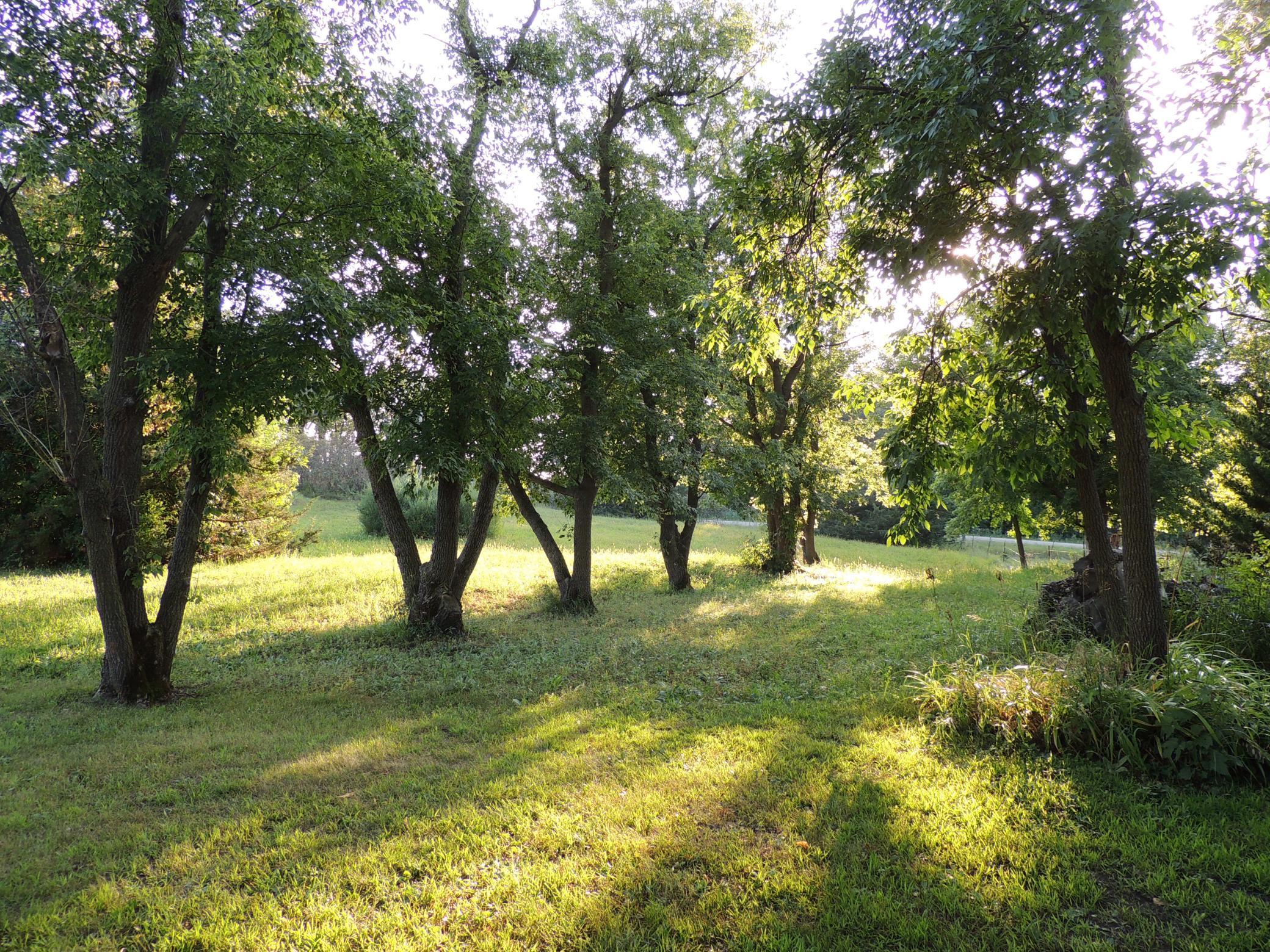 27428 County Road 37 Property Photo 16