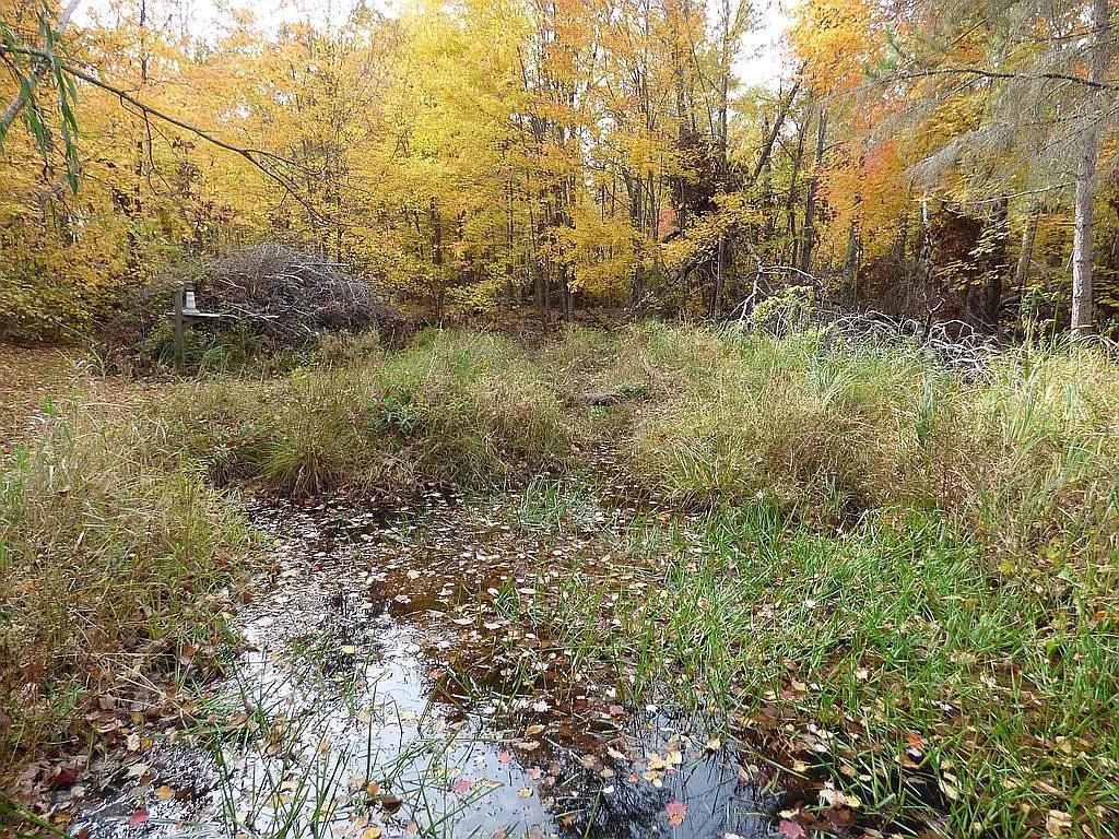 22519 County Road 3 Property Photo 14