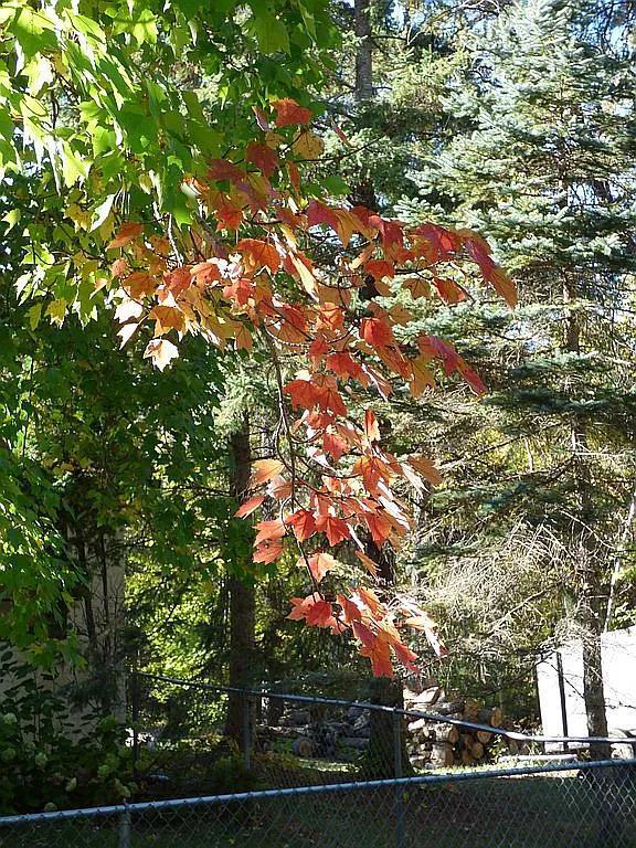 22519 County Road 3 Property Photo 27