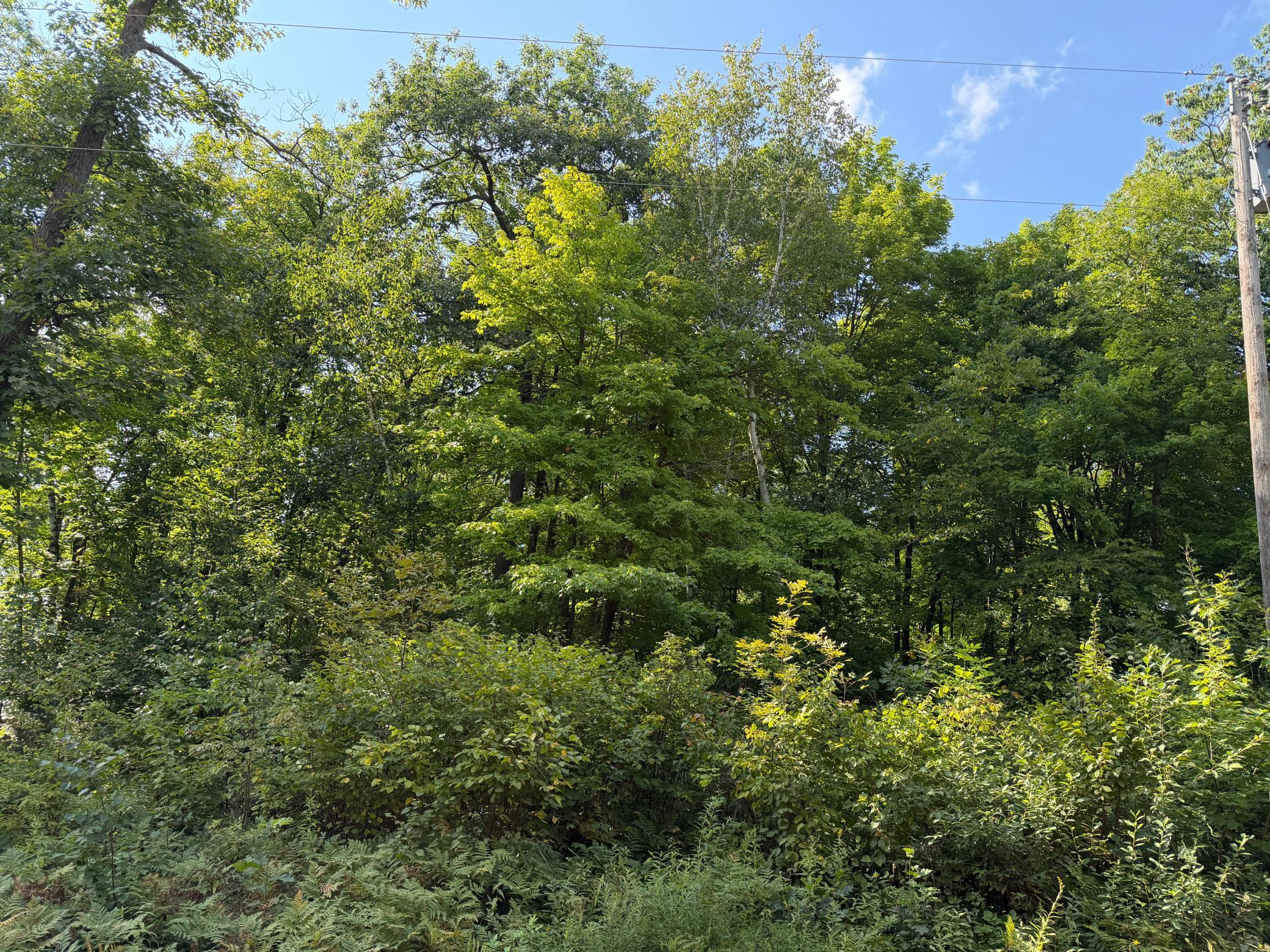 25XXX Eagle Ridge Road