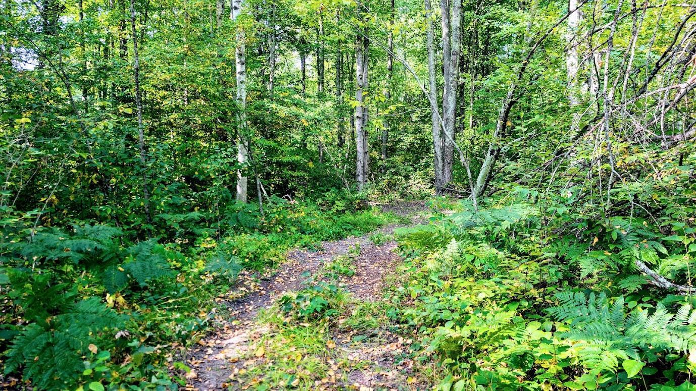 W8185 County Road J Property Photo 21