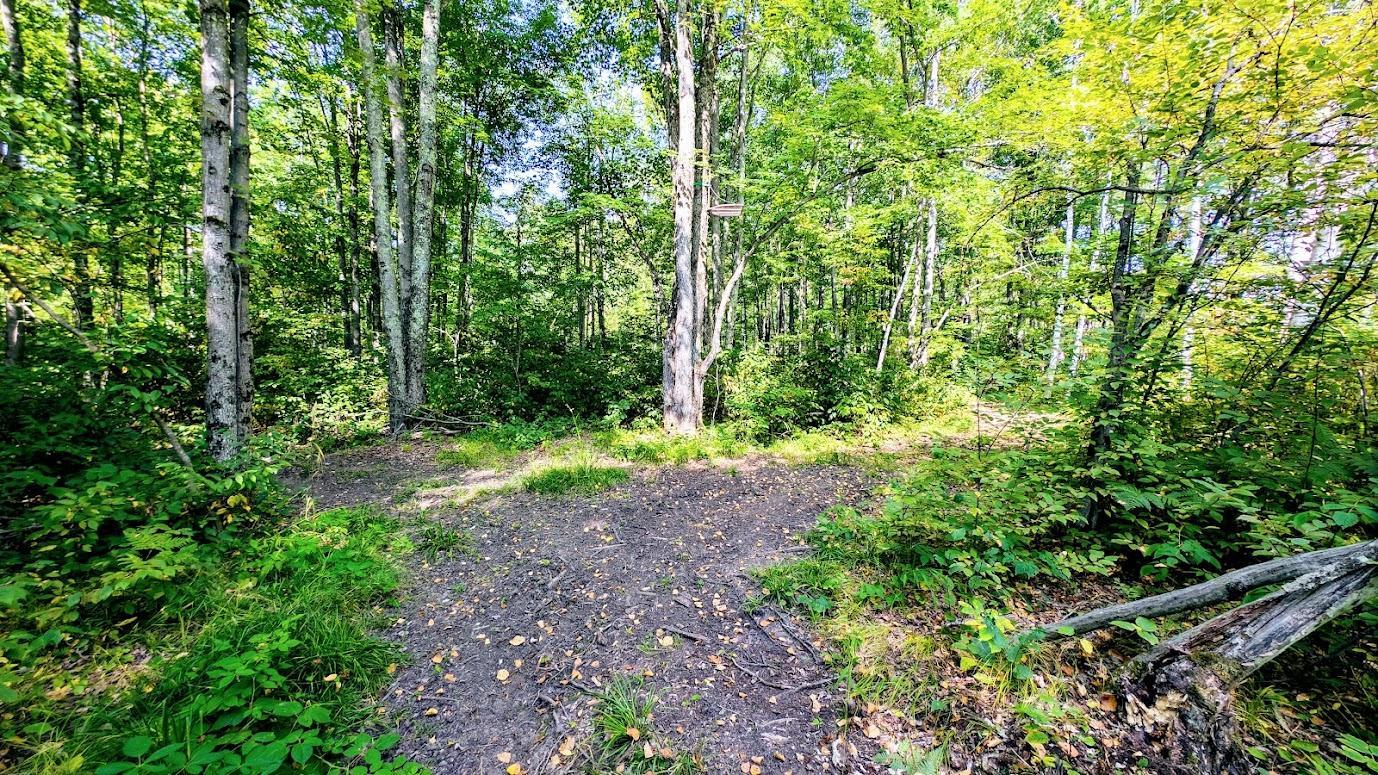 W8185 County Road J Property Photo 22