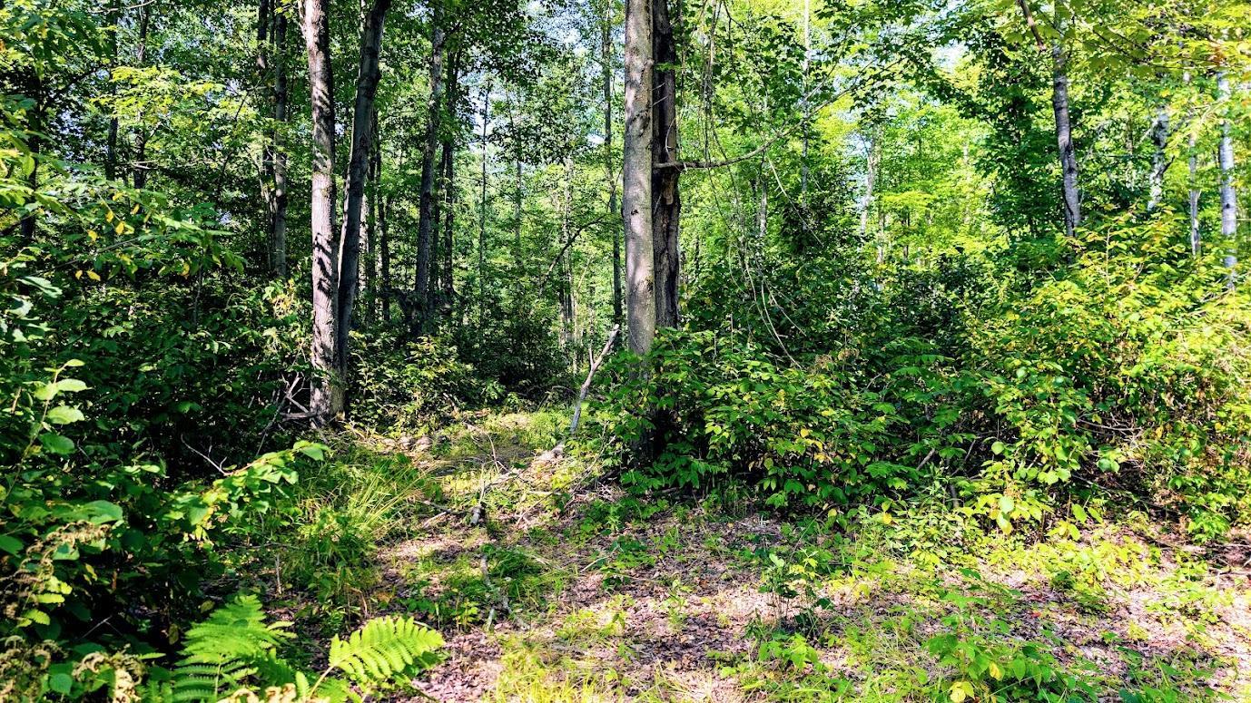W8185 County Road J Property Photo 25