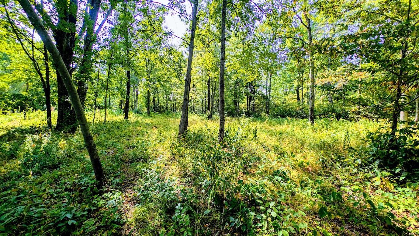 W8185 County Road J Property Photo 28