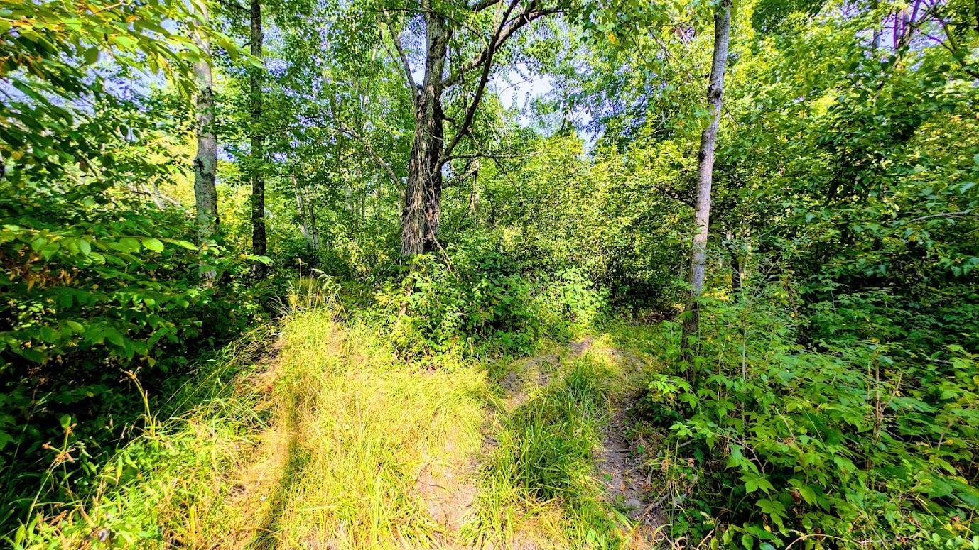 W8185 County Road J Property Photo 30