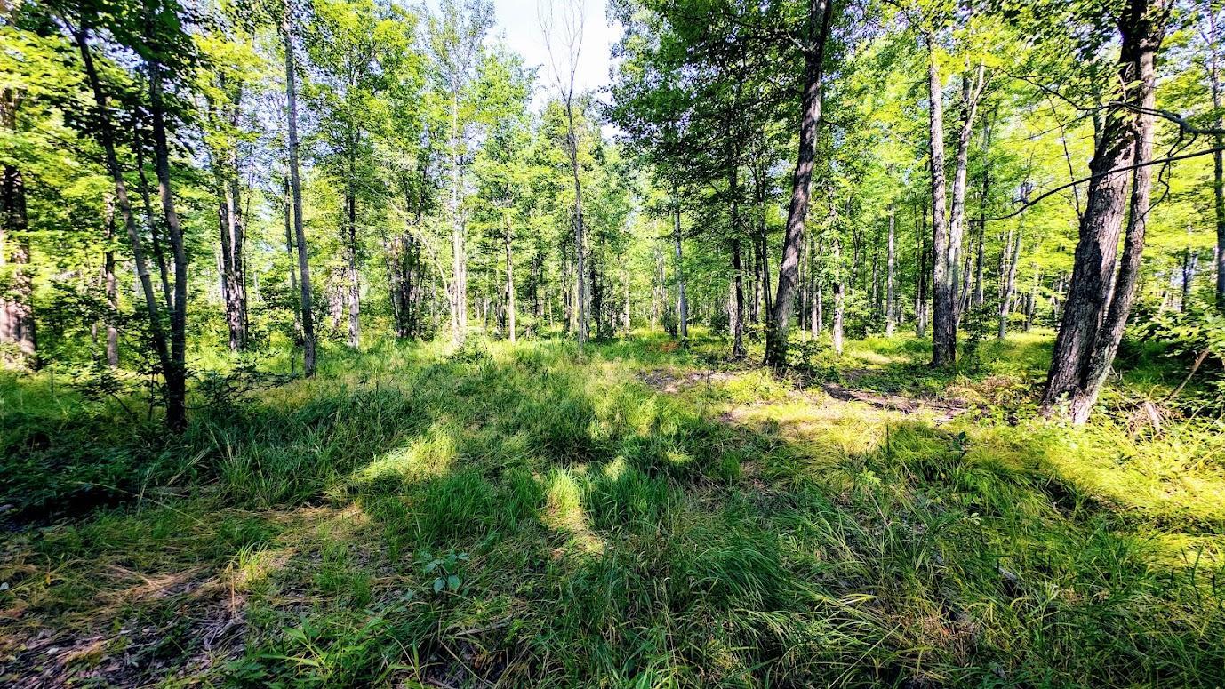 W8185 County Road J Property Photo 31