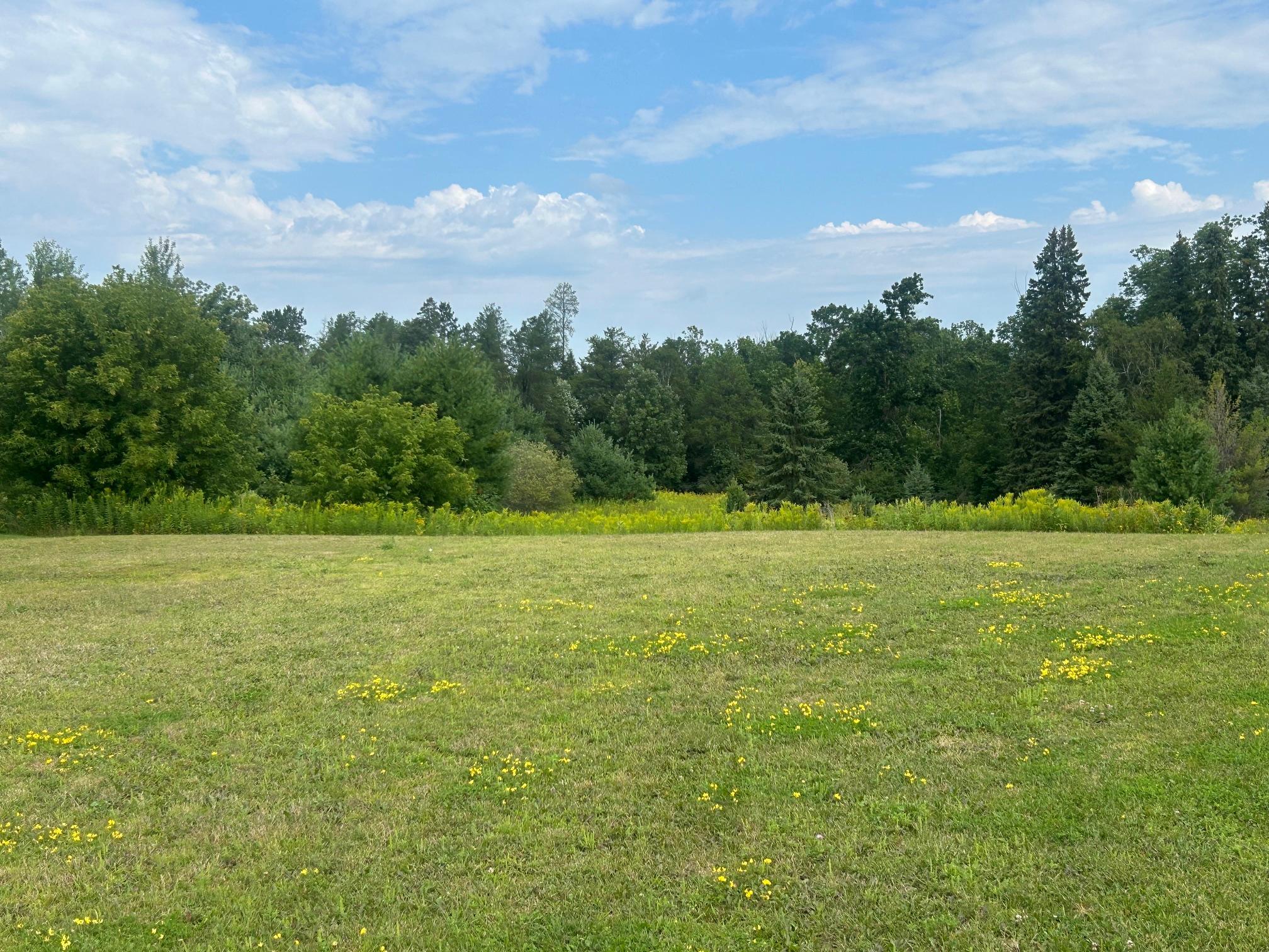Tbd Steinhart Circle Property Photo 6