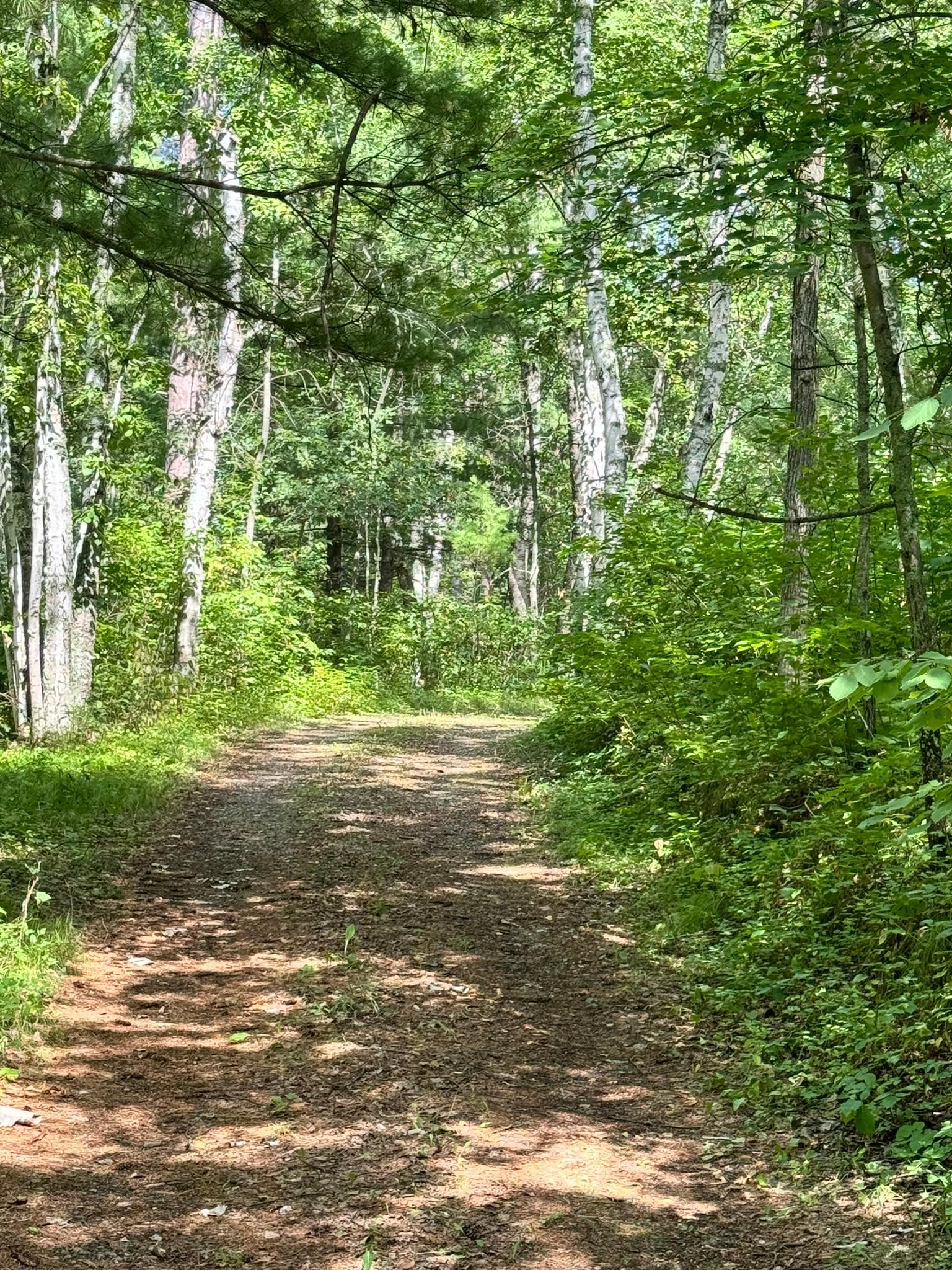 Tbd Glacial Ridge Trail Property Photo 6