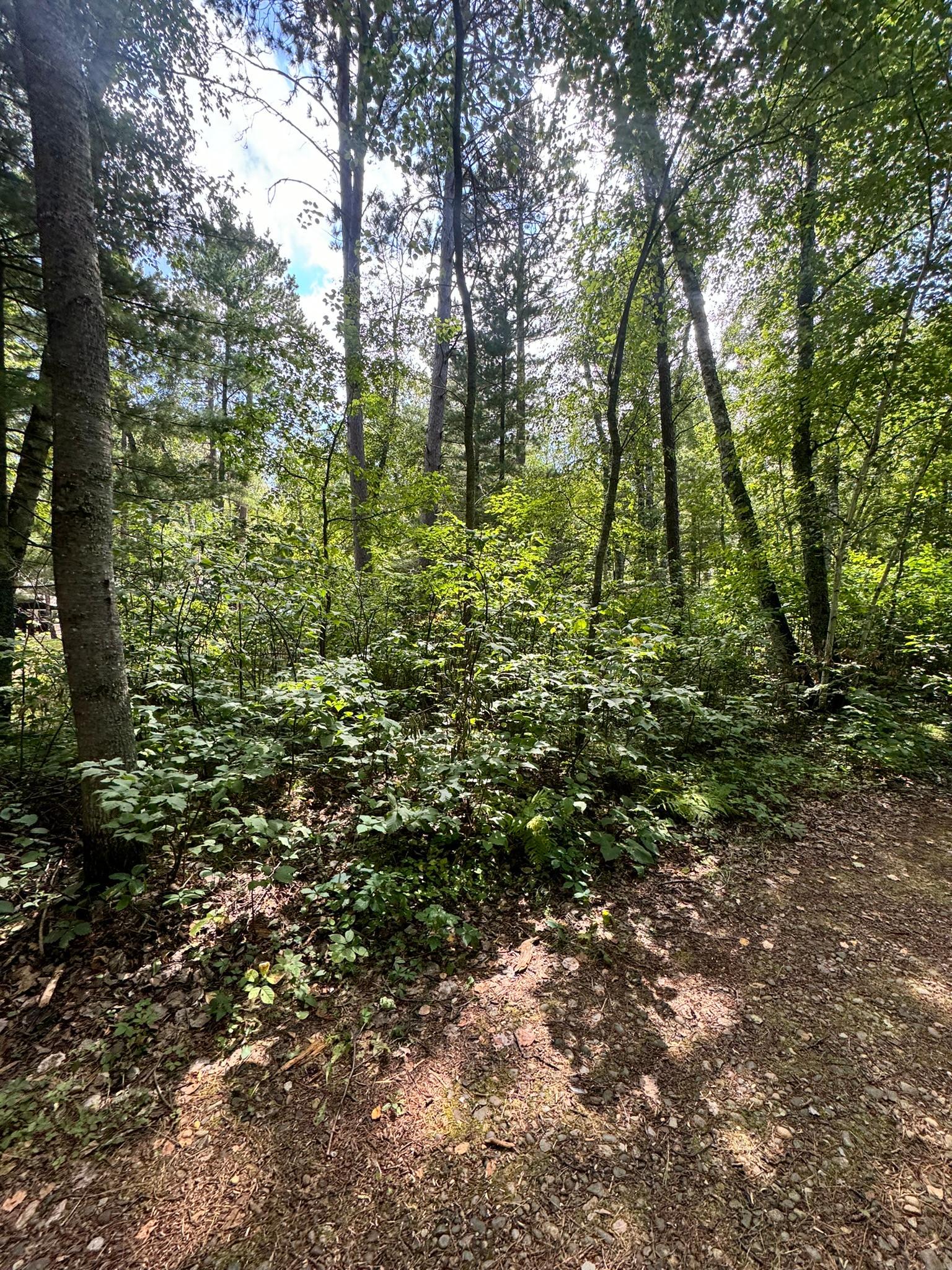 Tbd Glacial Ridge Trail Property Photo 8