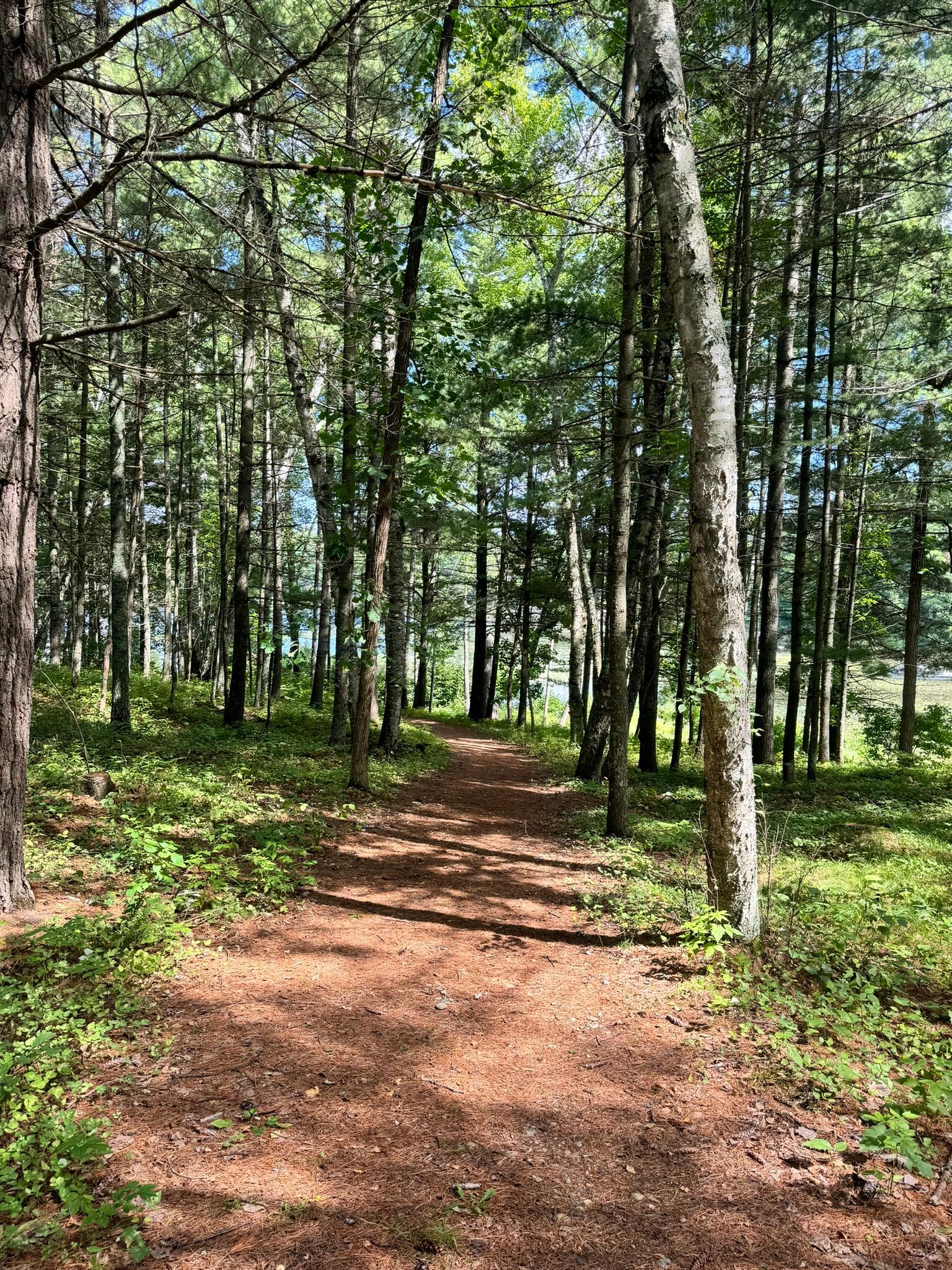 Tbd Glacial Ridge Trail Property Photo 11