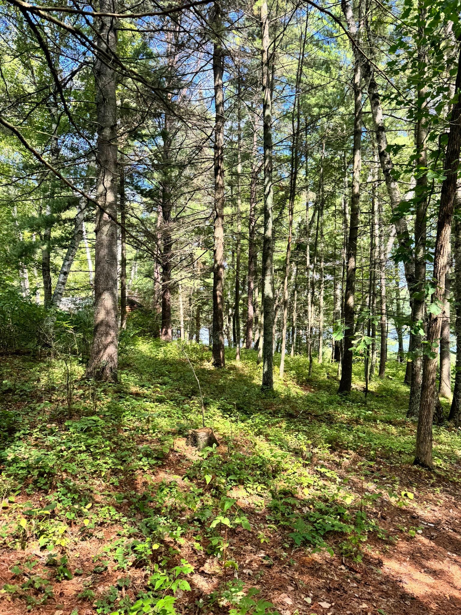 Tbd Glacial Ridge Trail Property Photo 12