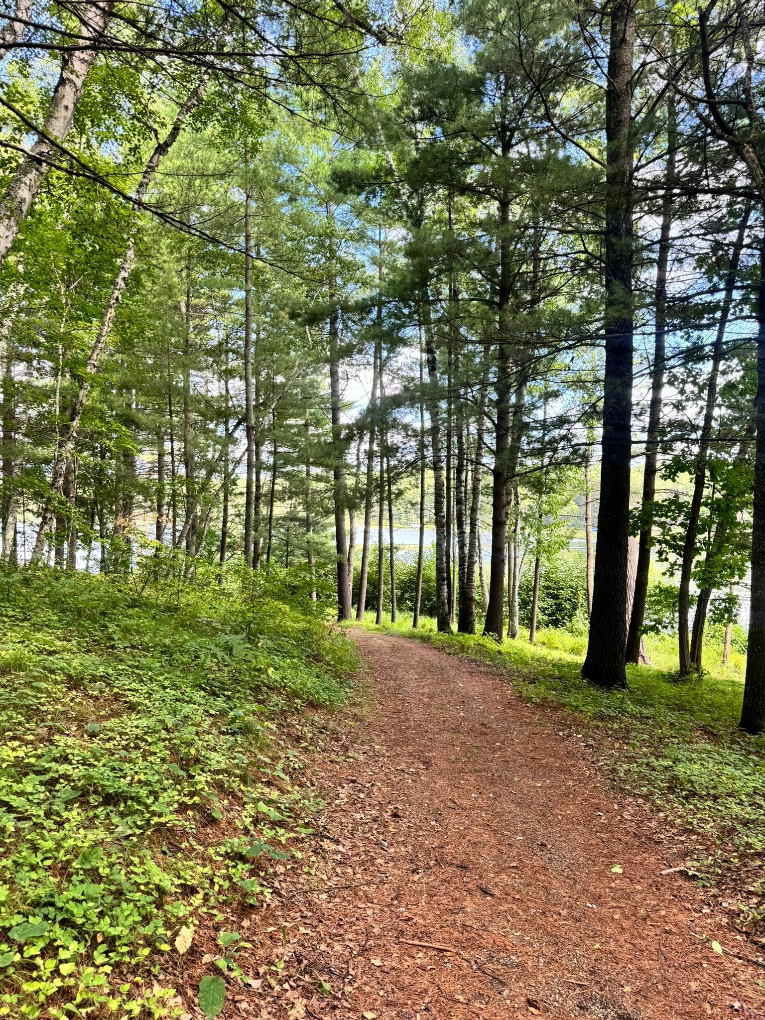 Tbd Glacial Ridge Trail Property Photo 13