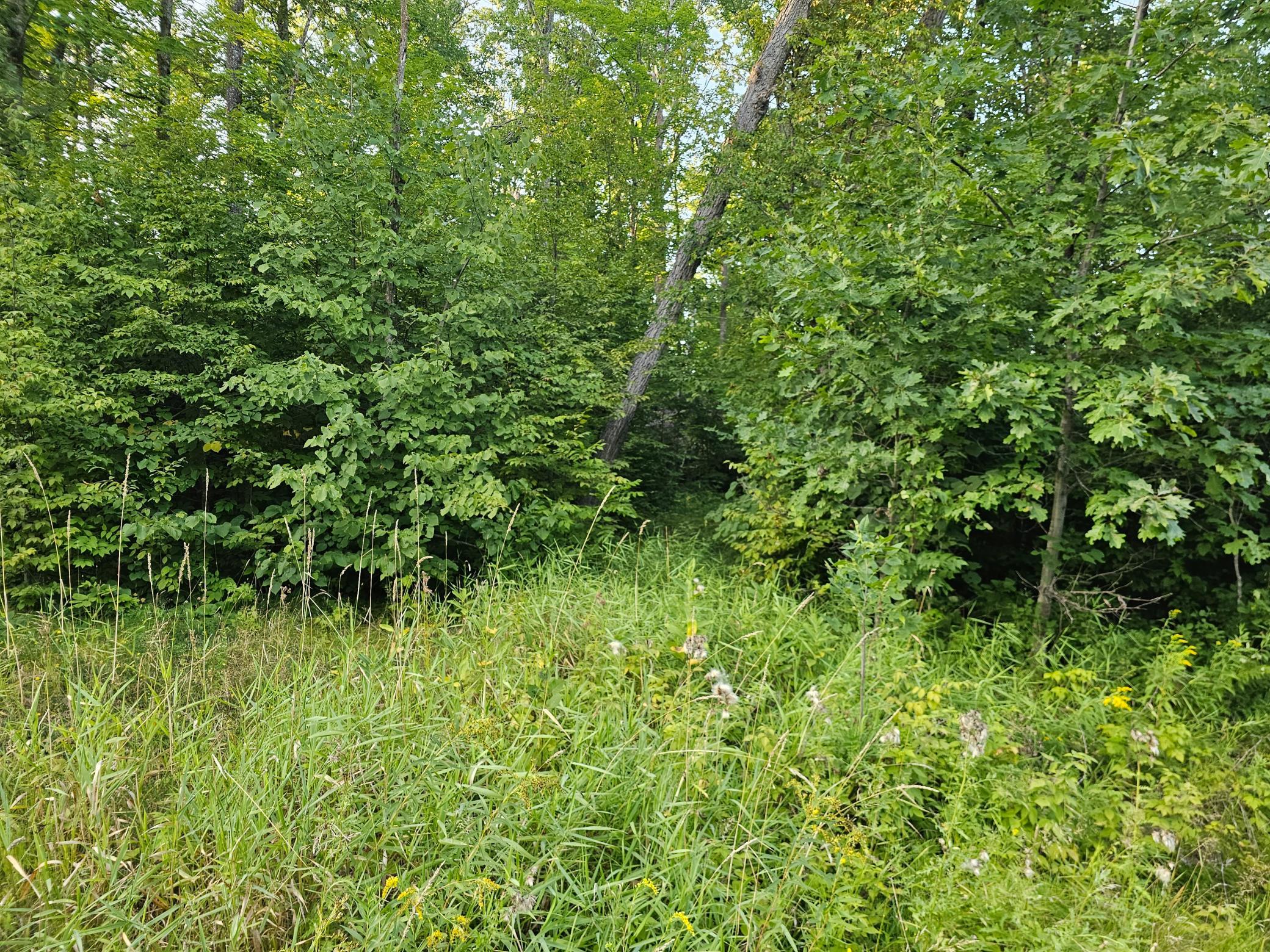 Lot 3 Woodlands Road Property Photo 5