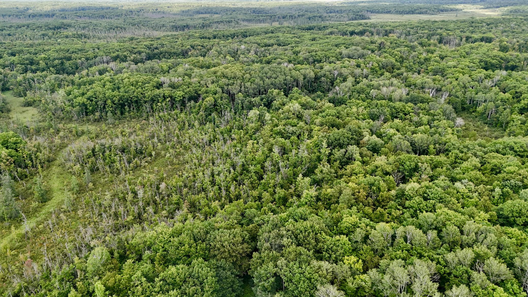 16962 State Highway 27 Property Photo 64