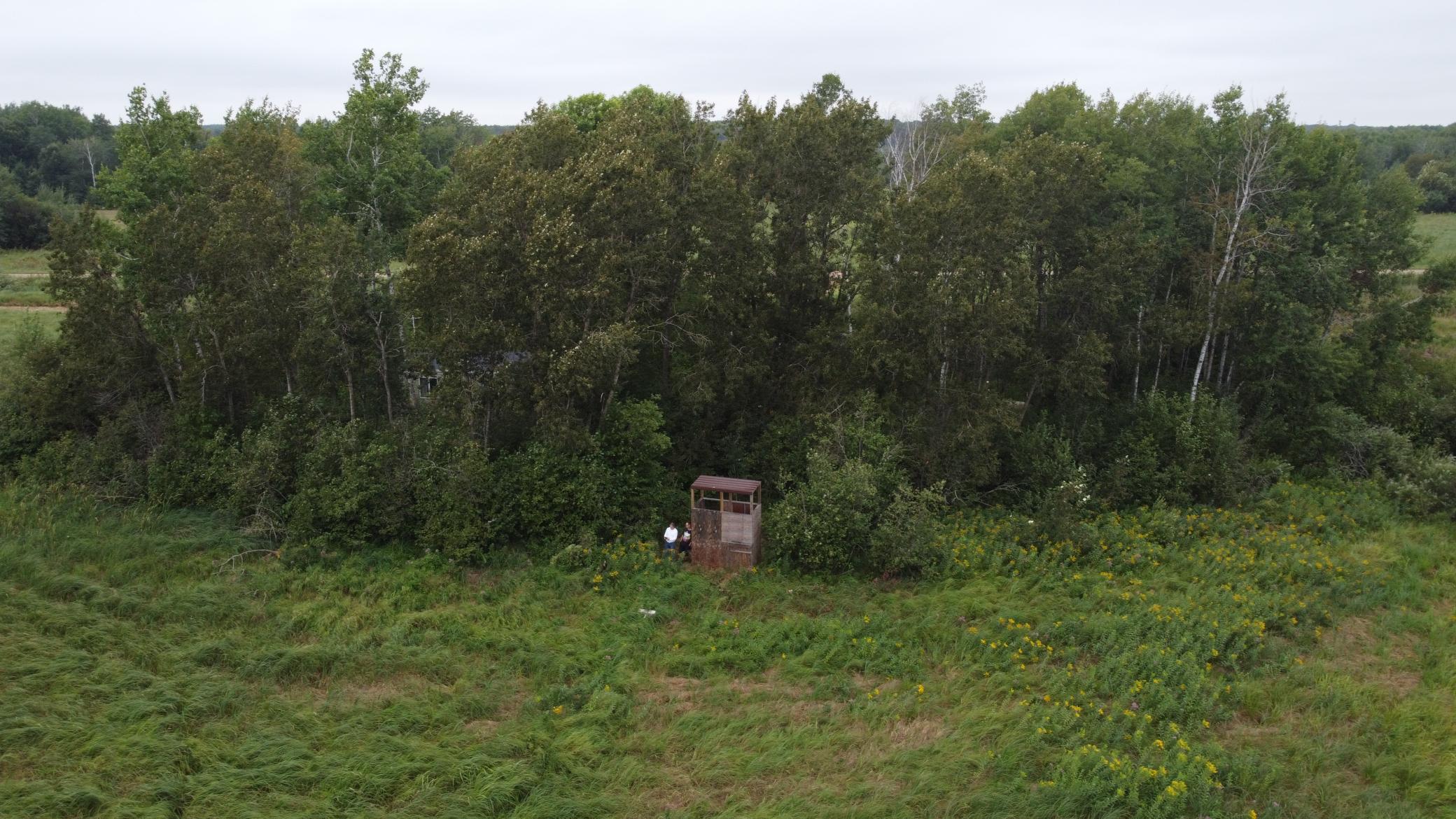 2236 Meadowview Road Property Photo 4