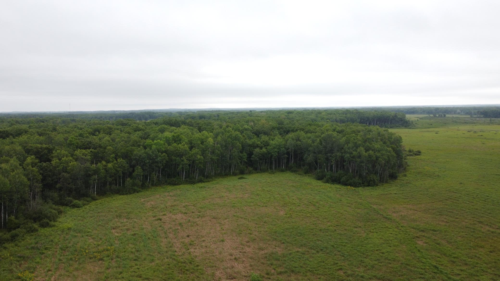 2236 Meadowview Road Property Photo 5