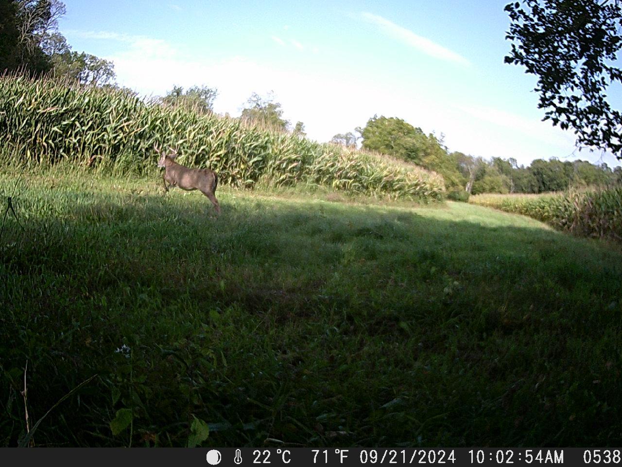 Tbd Deer Rd Property Photo 7