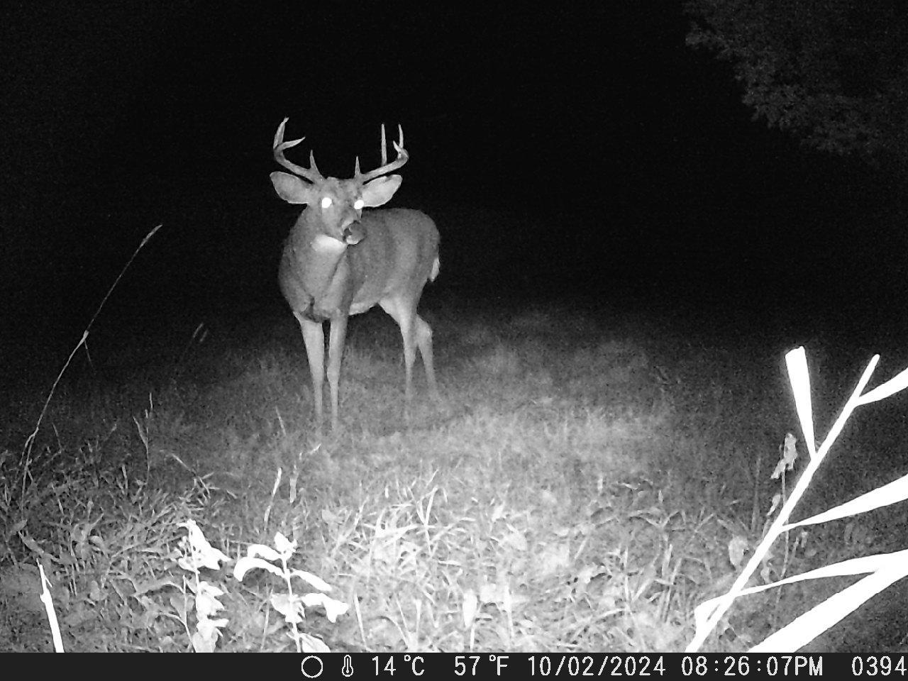 Tbd Deer Rd Property Photo 8