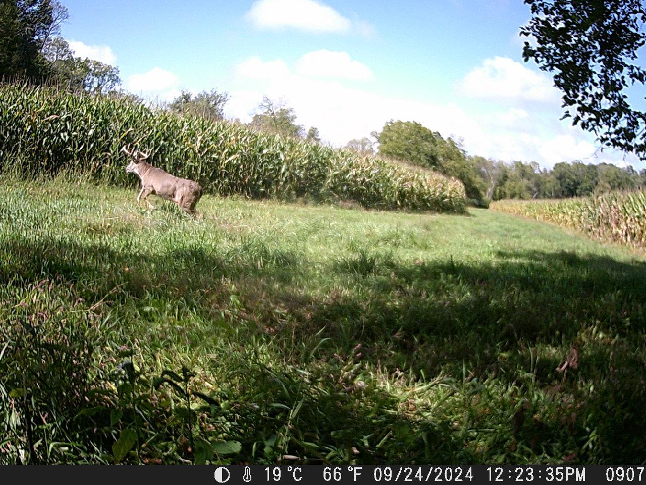 Tbd Deer Rd Property Photo 9