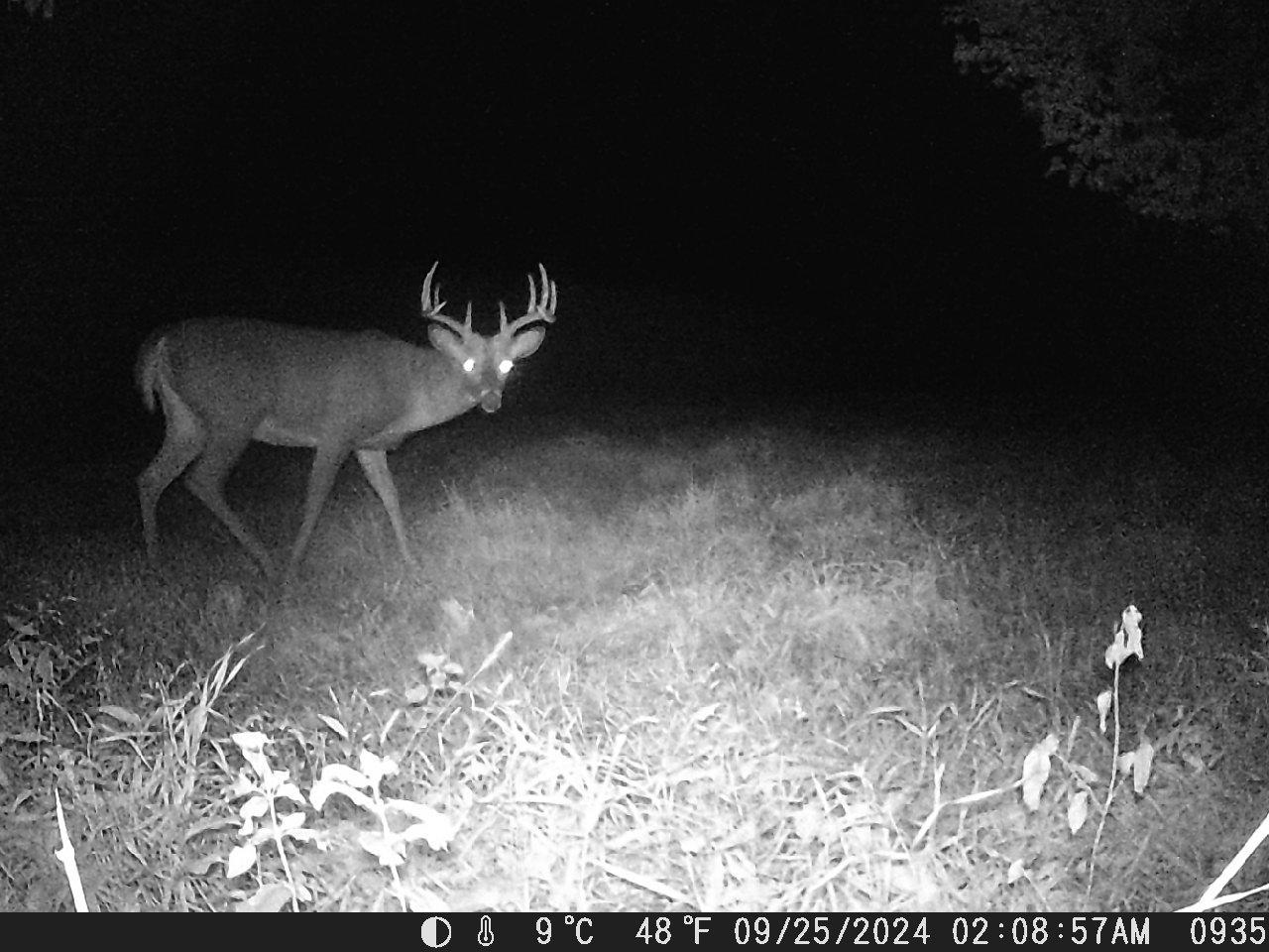 Tbd Deer Rd Property Photo 10