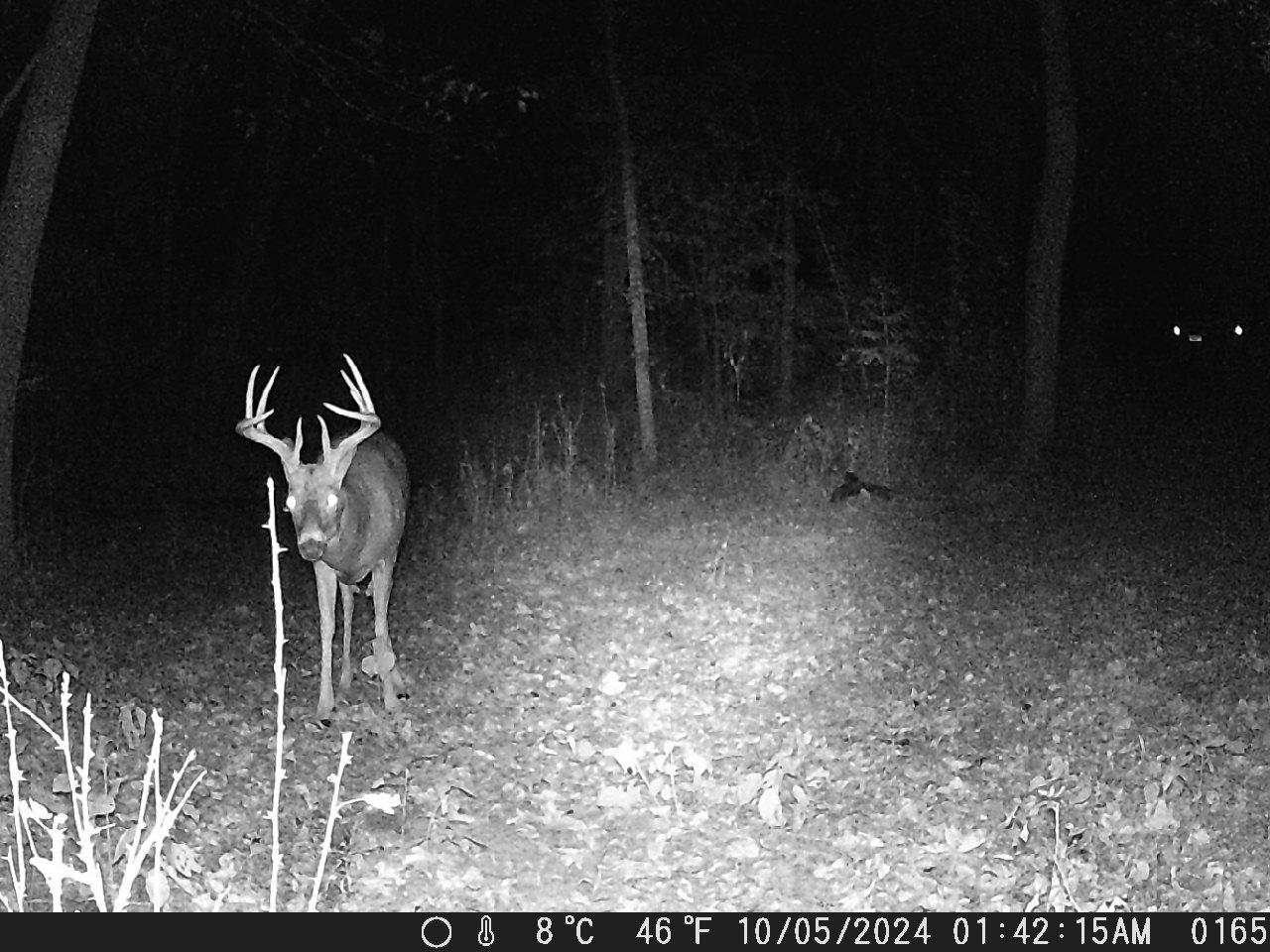 Tbd Deer Rd Property Photo 11