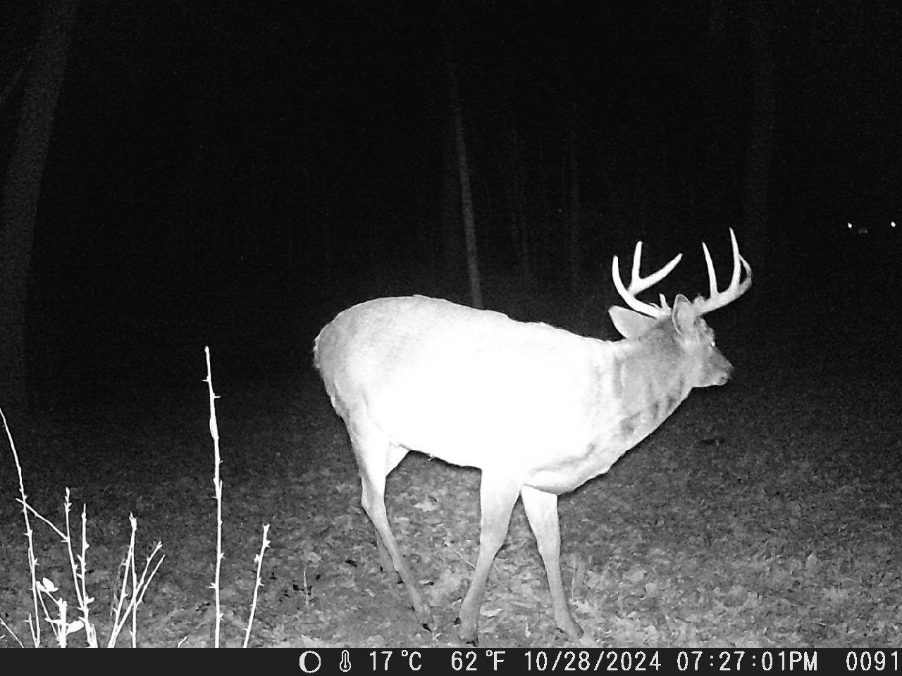 Tbd Deer Rd Property Photo 12