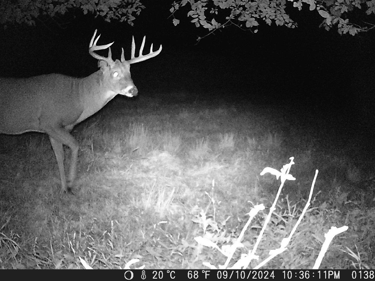 Tbd Deer Rd Property Photo 13