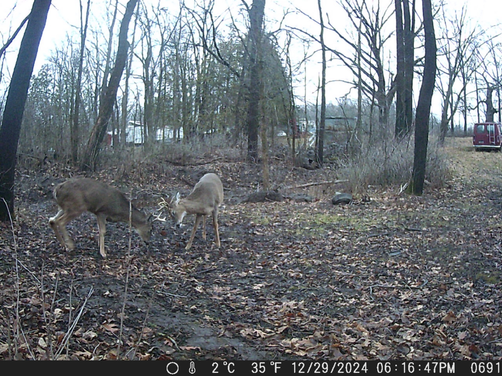Tbd Deer Rd Property Photo 14