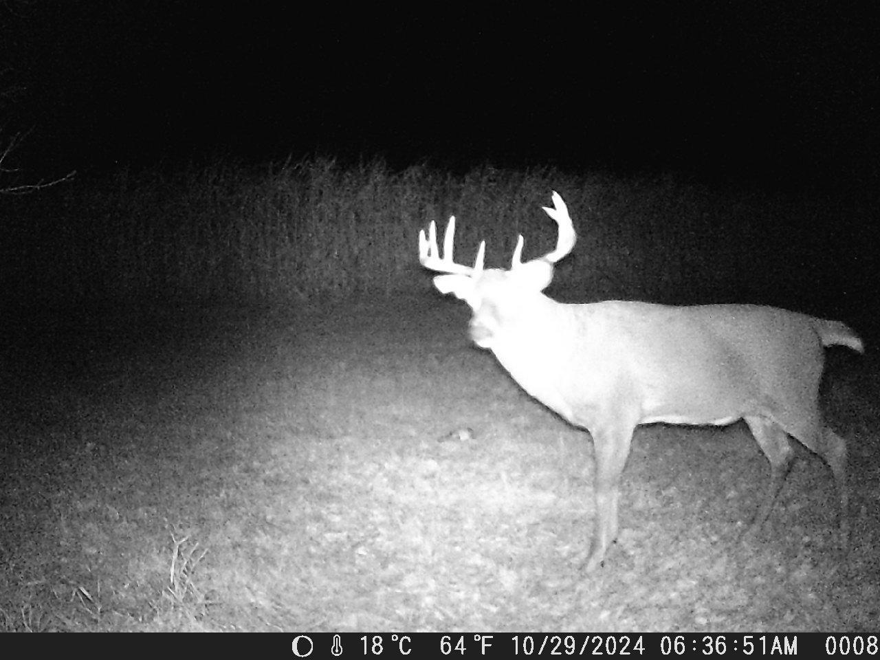 Tbd Deer Rd Property Photo 15