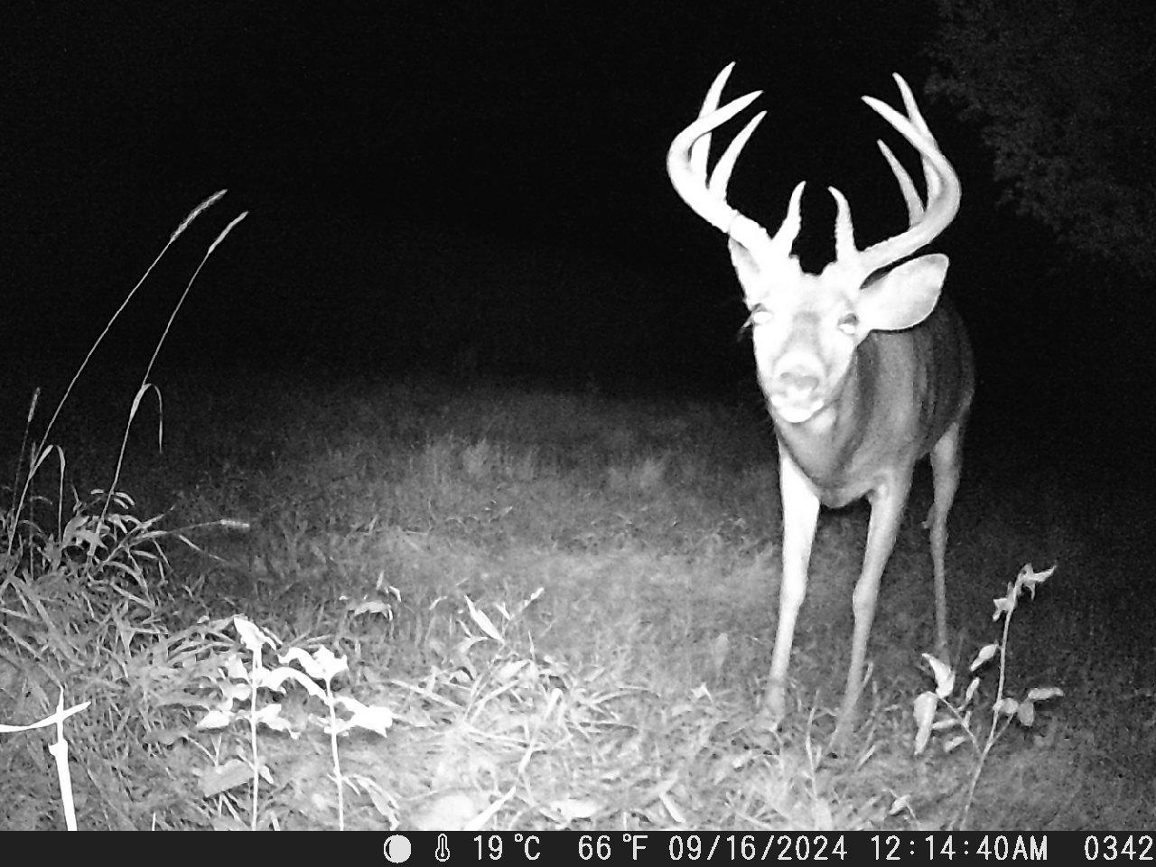 Tbd Deer Rd Property Photo 16