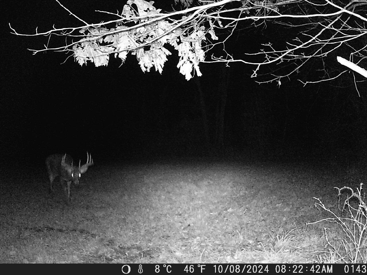 Tbd Deer Rd Property Photo 17