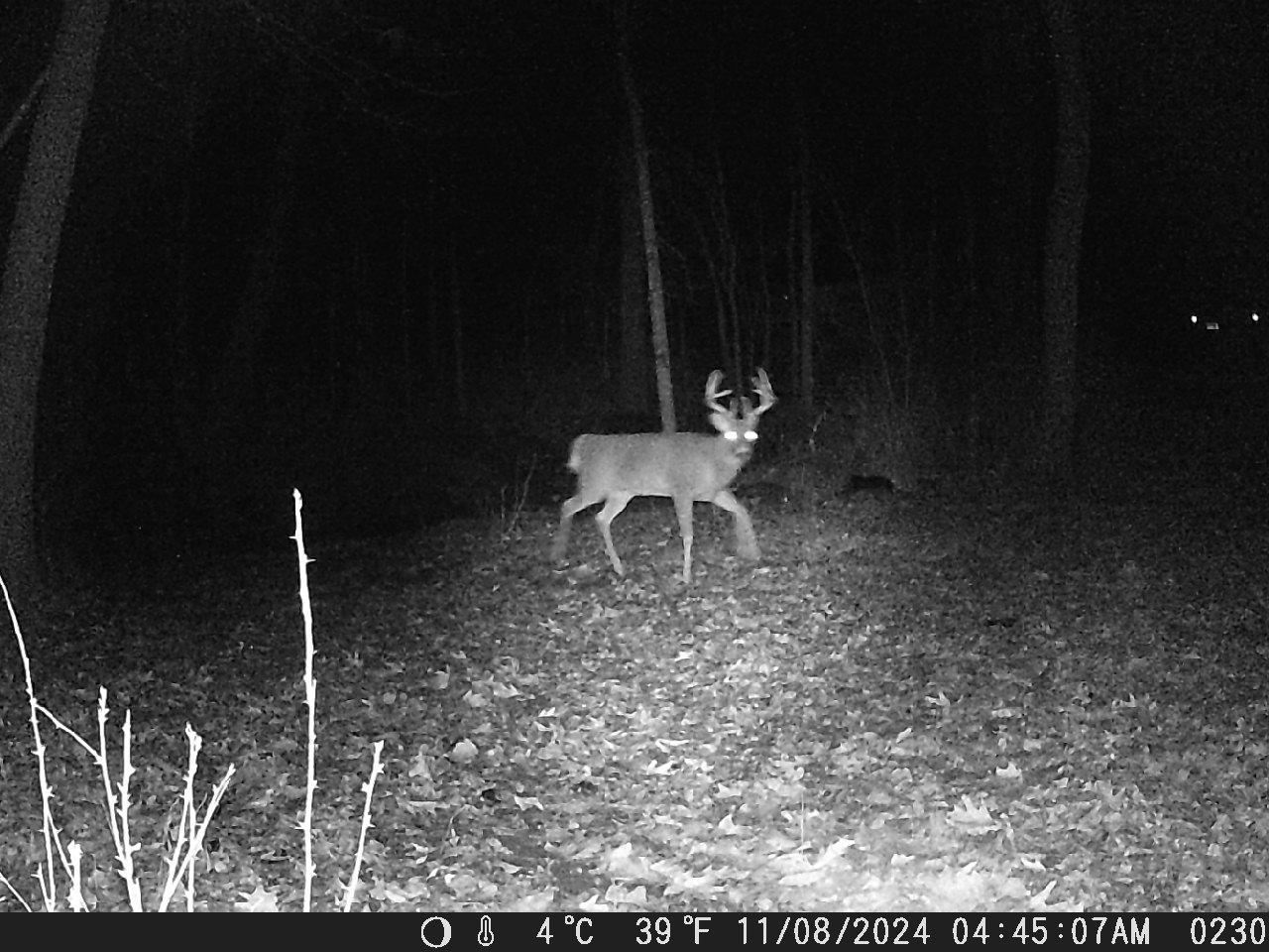 Tbd Deer Rd Property Photo 18