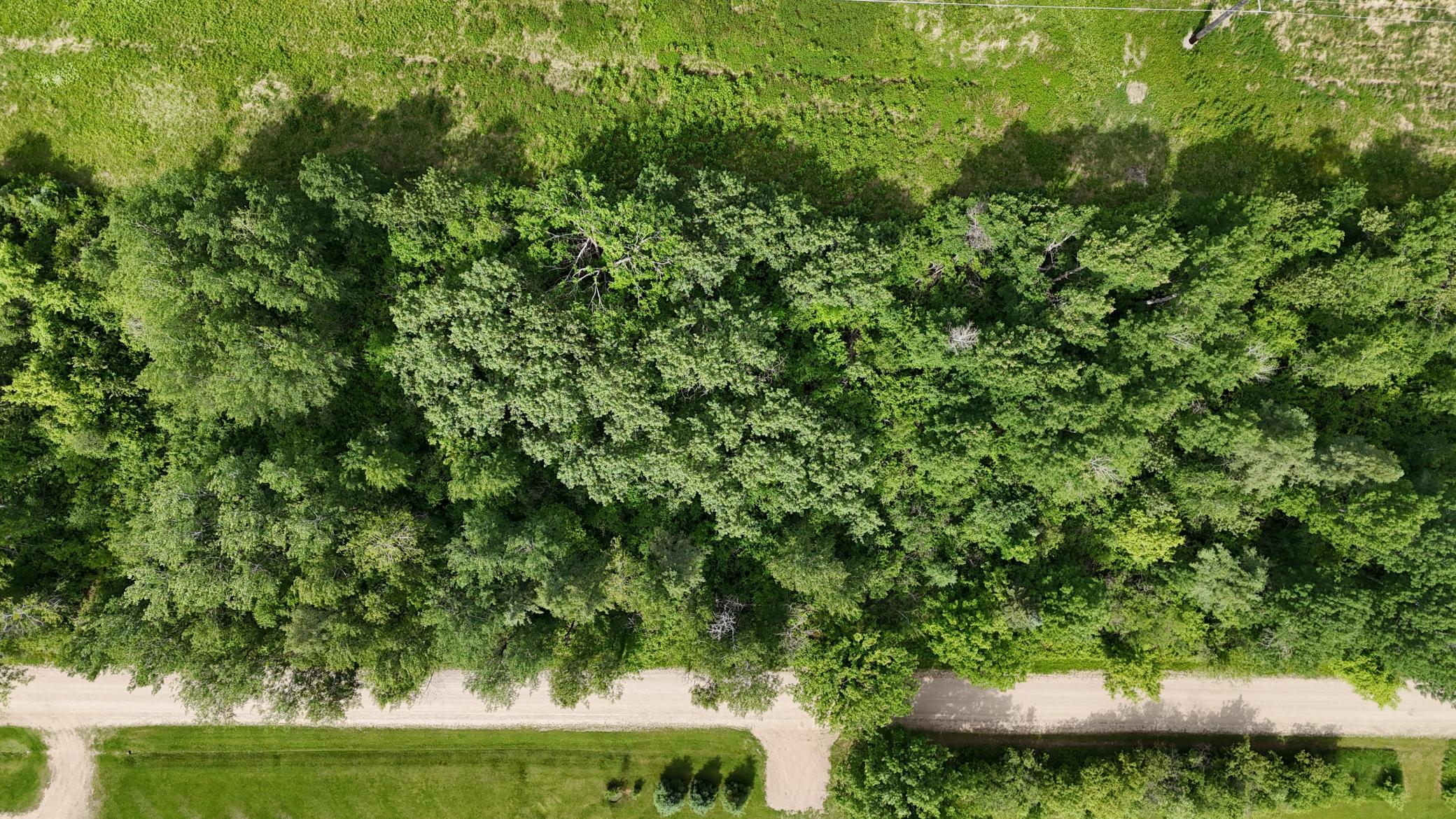 Lot 1 Parameter Road Property Photo 8