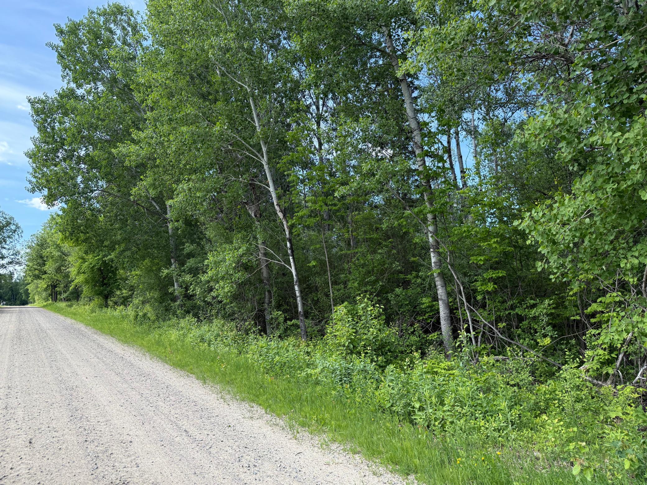 Lot 1 Parameter Road Property Photo 9