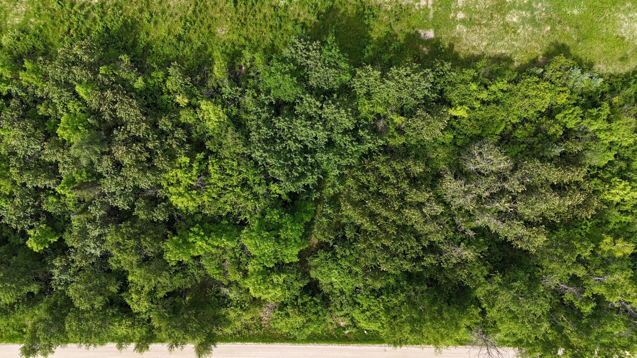 Lot 1 Parameter Road Property Photo 10