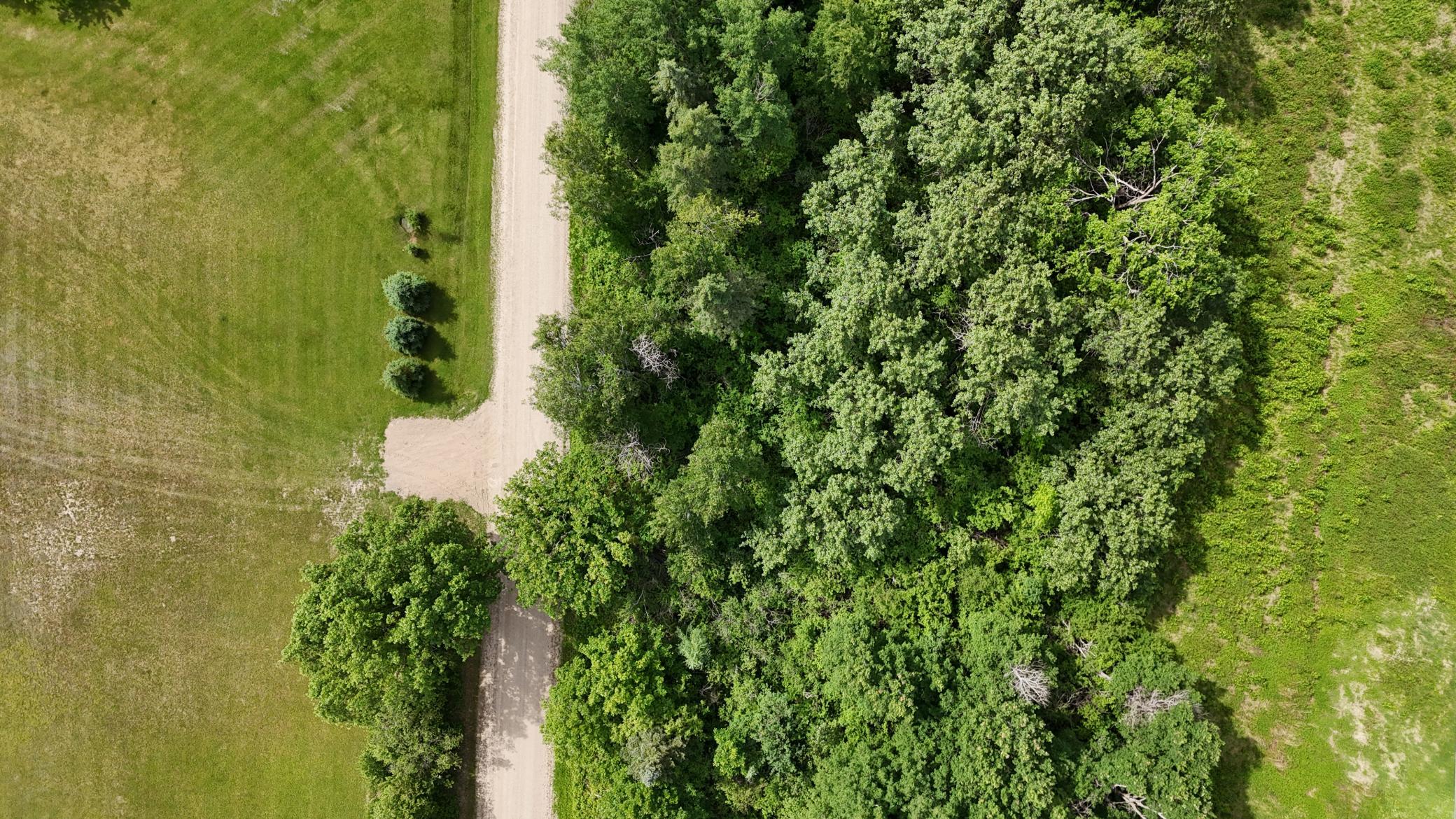 Lot 1 Parameter Road Property Photo 11