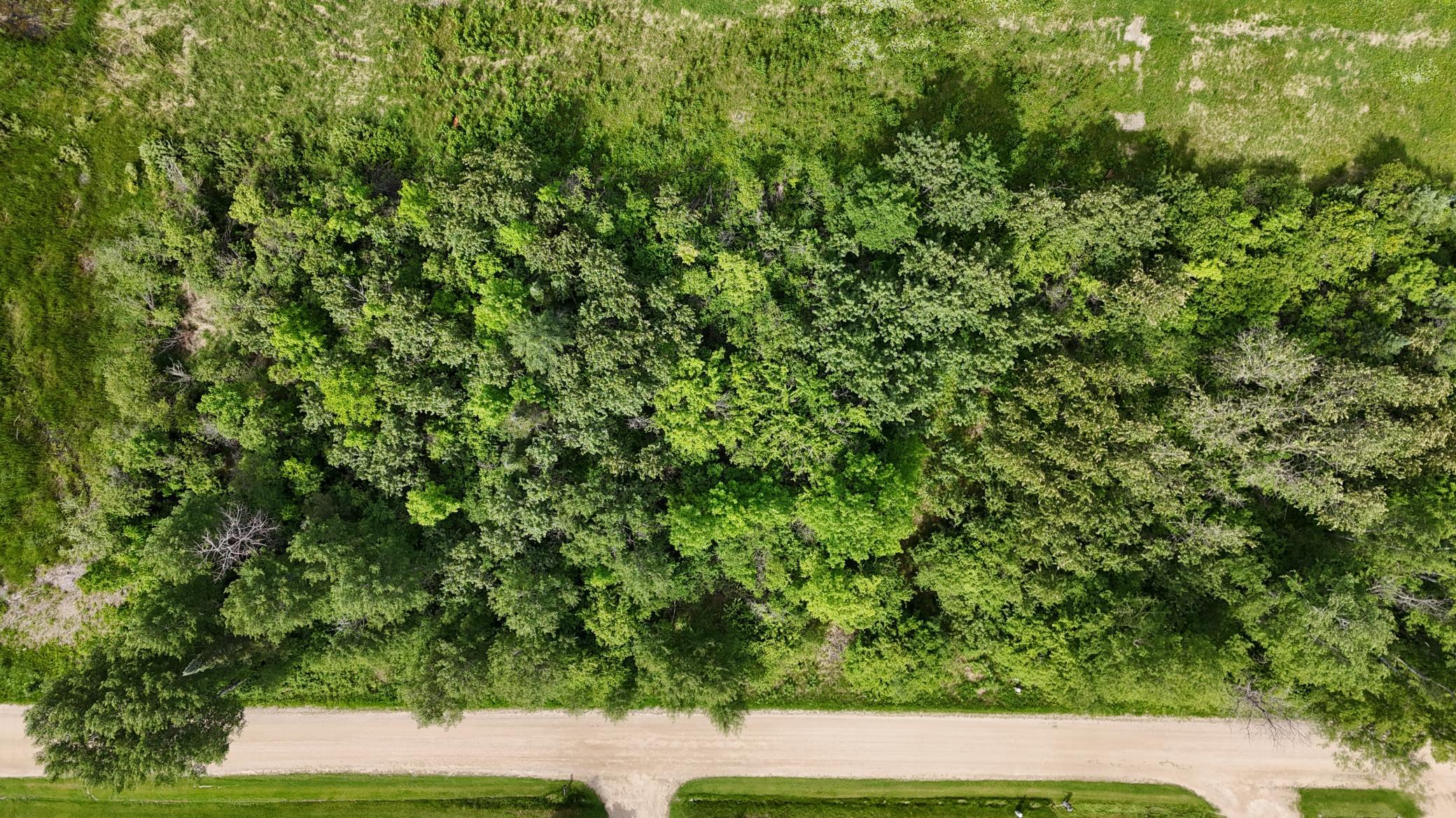 Lot 2 Parameter Road Property Photo 5