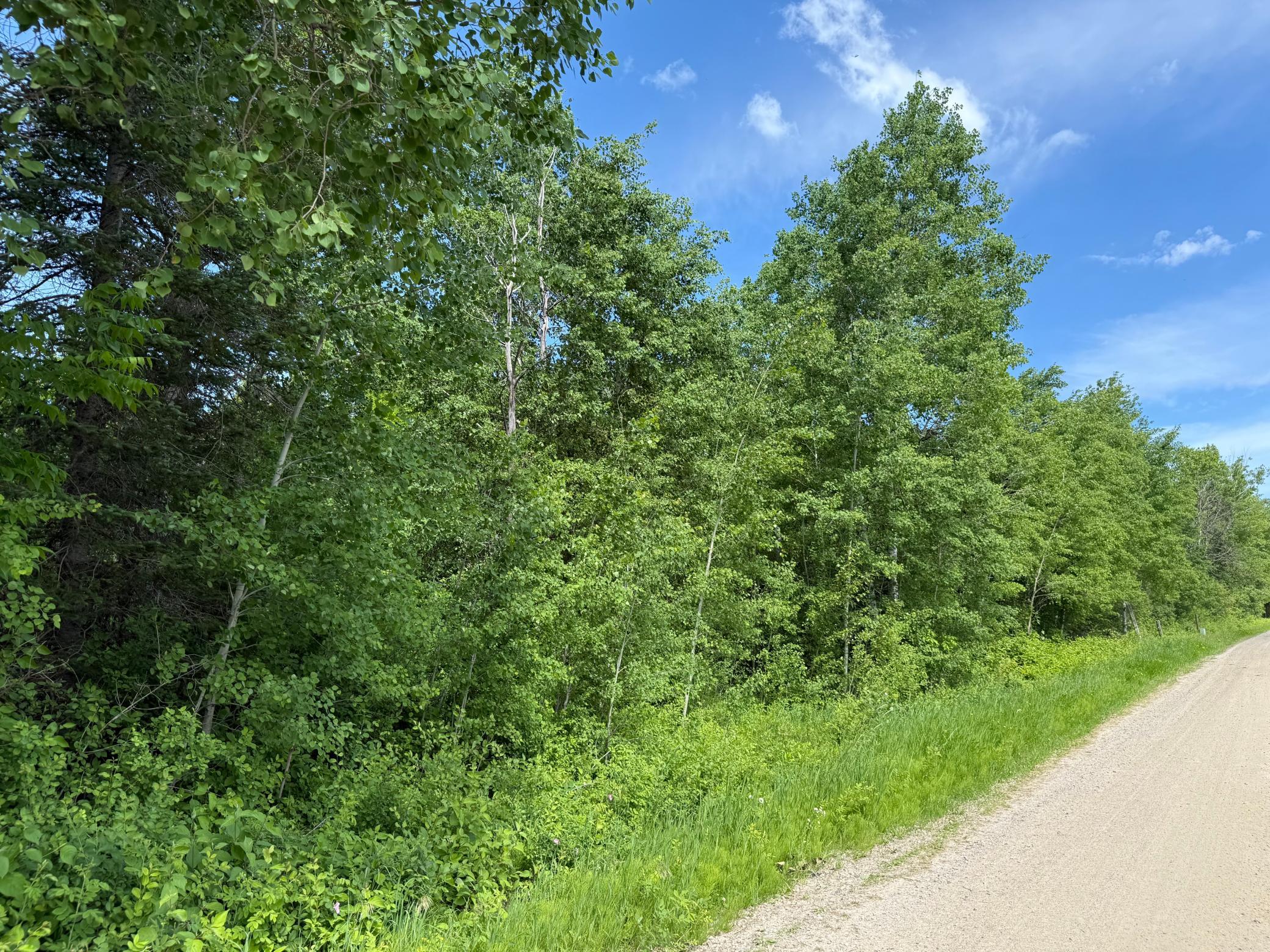 Lot 2 Parameter Road Property Photo 6